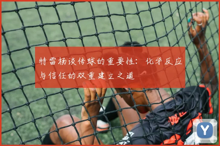 特雷杨谈传球的重要性：化学反应与信任的双重建立之道